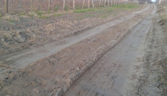 Tavankut - "ravnanje" neasfaltiranih puteva