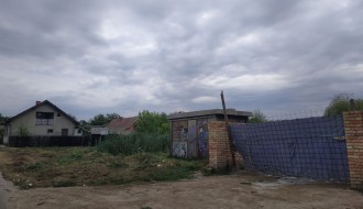 Jasibara - nepokošena trava