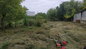 Jasibara - nepokošena trava