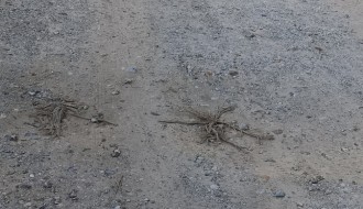 Raskrsnica Bagremove i Kosovske ulice - nastavak radova?