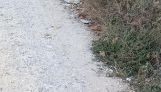 Raskrsnica Bagremove i Kosovske ulice - nastavak radova?