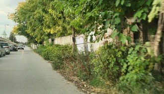 Zarasla javna površina u Mičurinovoj ulici