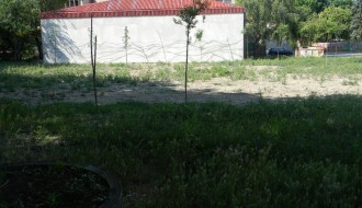 Budući park u gradu...