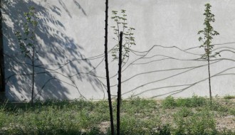 Budući park u gradu...