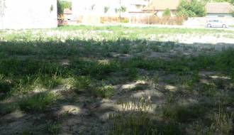 Budući park u gradu...