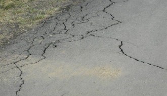 Nebriga o Dudovoj šumi