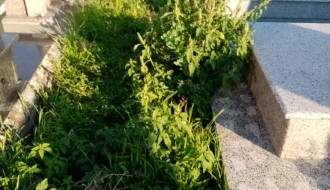 Neodržavano groblje (Crkveni deo) u Dudovoj šumi