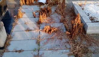 Neodržavano groblje (Crkveni deo) u Dudovoj šumi