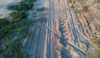 Neodržavano groblje (Crkveni deo) u Dudovoj šumi