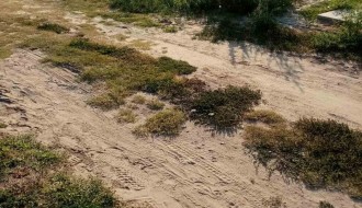 Neodržavano groblje (Crkveni deo) u Dudovoj šumi