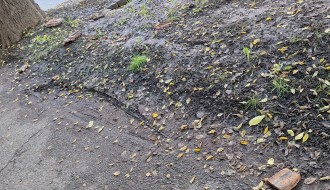 Opasno oronula kuća u širem centru grada, na Somborskom putu