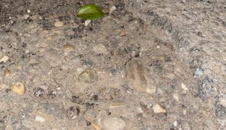 Rupe u Ulici maršala Tita (Đurđin)