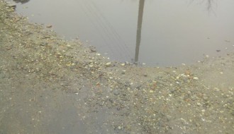 Pozdrav iz Koparske ulice