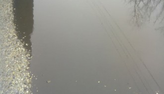 Pozdrav iz Koparske ulice