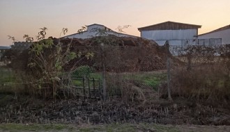 Uzasan smrad koji dolazi iz farme u Đurđinu