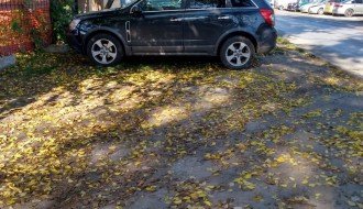 Gde je nestala pešačka staza na uglu Karađorđevog i Bajskog puta?