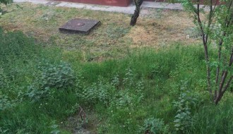 Bermudski trougao 2020