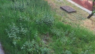 Bermudski trougao 2020