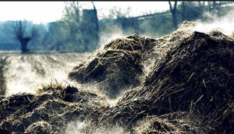 Smrad od stajskog đubreta u ulicama Celjska i Anke Butorac