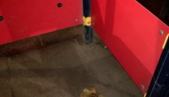 Igralište u centru grada izmazano fekalijama i povraćkom!