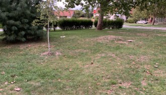 Smeće na drvenom igralištu u Malom Radanovcu