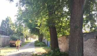 Potrebno skresati krošnje u Ulici Josipa Eugena Tomića