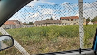 Polje ambrozije u Bajnatskoj ulici