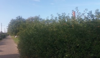 Ne vidi se znak u Ulici Ivana Sarića