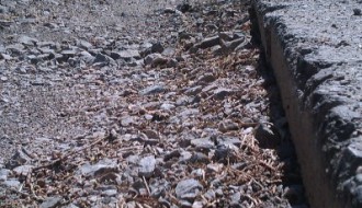 Raskopana površina u Skerlićevoj ulici