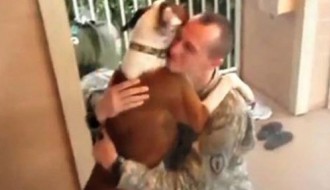 СТОП крађи ПАСА!