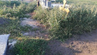 Zapušteno groblje na Paliću