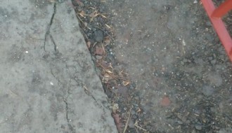 Slika i prilika aljkavog rada u Aleksandrovu