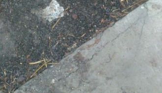 Slika i prilika aljkavog rada u Aleksandrovu