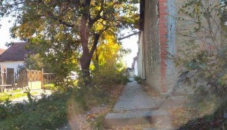 Rastinje na uglu Bjelovarske i Durmitorske ulice