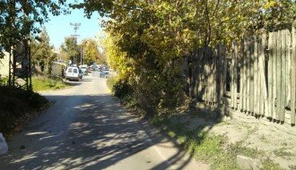 Rastinje na uglu Bjelovarske i Durmitorske ulice