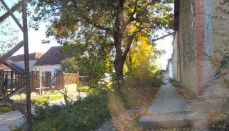 Rastinje na uglu Bjelovarske i Durmitorske ulice