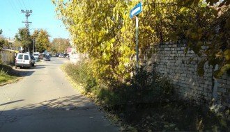 Rastinje na uglu Bjelovarske i Durmitorske ulice