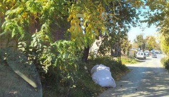 Rastinje na uglu Bjelovarske i Durmitorske ulice