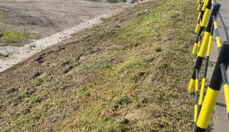 Zapušteno zelenilo na i oko Majšanskog mosta