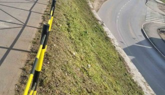 Zapušteno zelenilo na i oko Majšanskog mosta