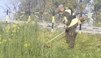 Zapušteno zelenilo na i oko Majšanskog mosta