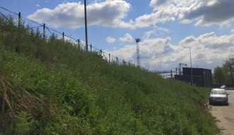 Zapušteno zelenilo na i oko Majšanskog mosta