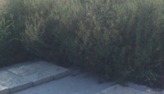 Bajmočko groblje Rata