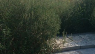 Bajmočko groblje Rata