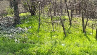 Otpad na početku ulice Jovana Cvijića