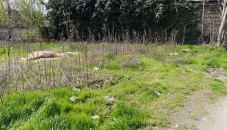 Otpad na početku ulice Jovana Cvijića