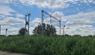 Ambrozija i ostali korovi pored nove pruge (na Paliću, u ulici Marka Oreškovića)