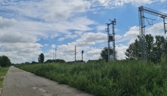 Ambrozija i ostali korovi pored nove pruge (na Paliću, u ulici Marka Oreškovića)