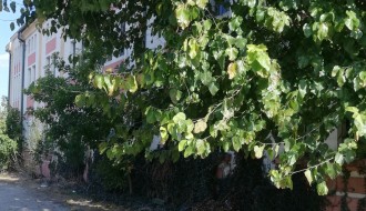 Parking pored Minerve potrebno urediti