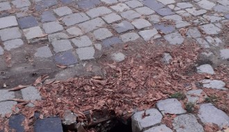 Udarna rupa u Harambašićevoj ulici